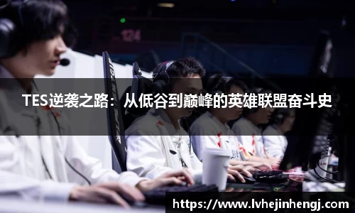 Betball官网入口