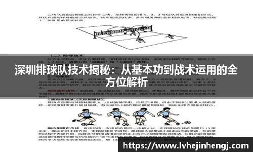 Betball官网入口